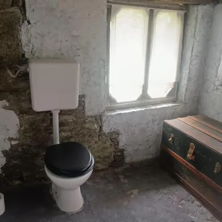 Into The Wild Camping *