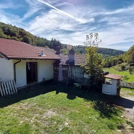 Camping Into The Wild