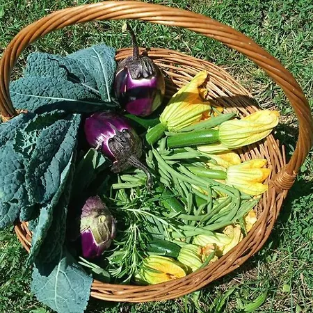 Into The Wild キャンプ場