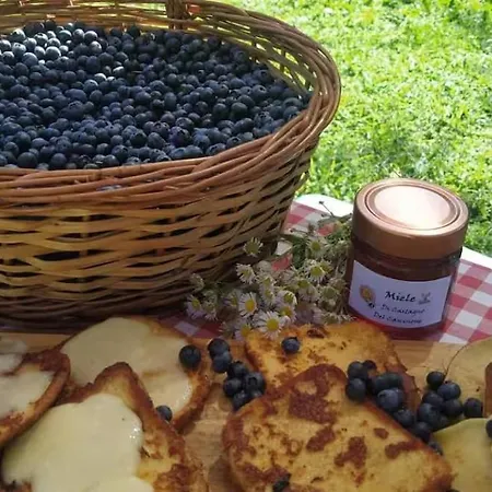 Into The Wild Camping Brovello-Carpugnino