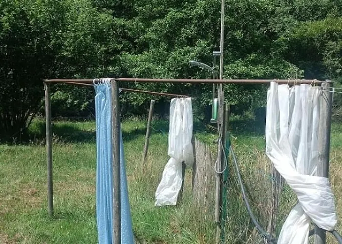 Into The Wild Brovello-Carpugnino