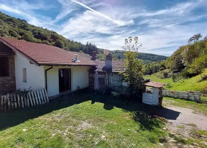 Campingplads Into The Wild