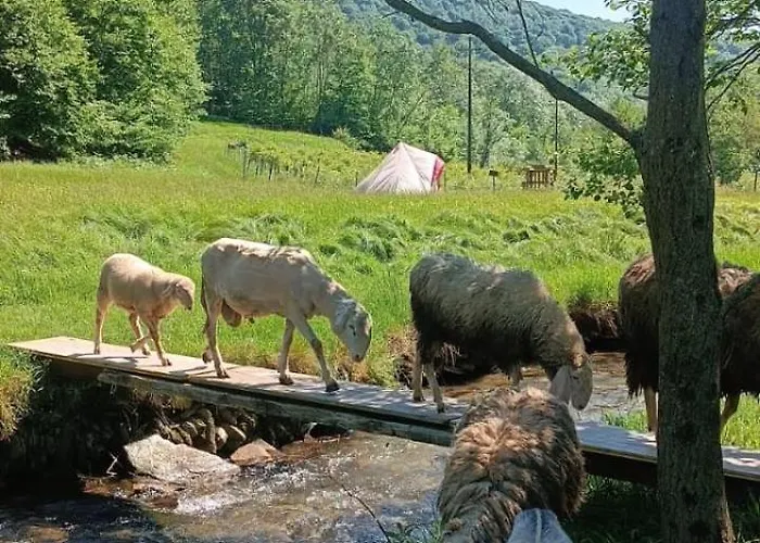 Into The Wild Brovello-Carpugnino