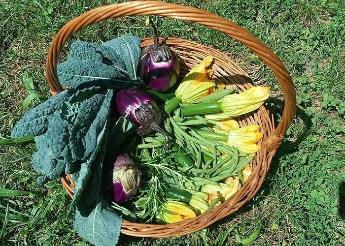 Into The Wild Parque de Campismo