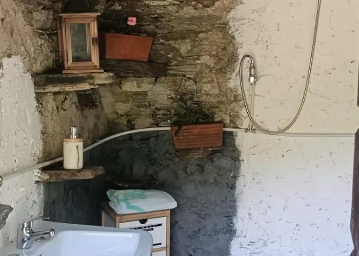 Campingplads Into The Wild *