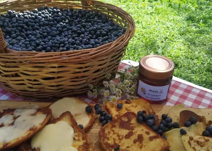 Into The Wild Campingplads Brovello-Carpugnino