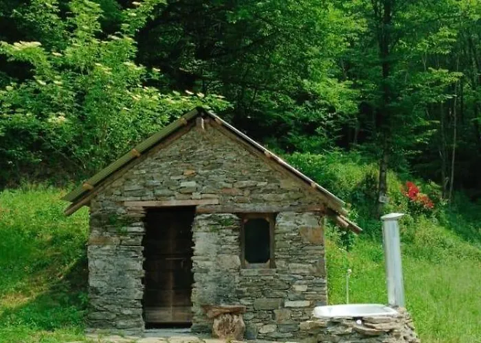 Into The Wild * Brovello-Carpugnino